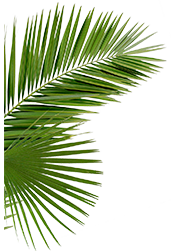 Leaf2