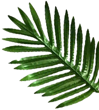 green leaf