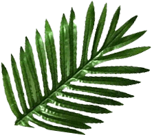 leafimg floatLft