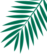 Leaf1