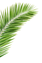 leaf2