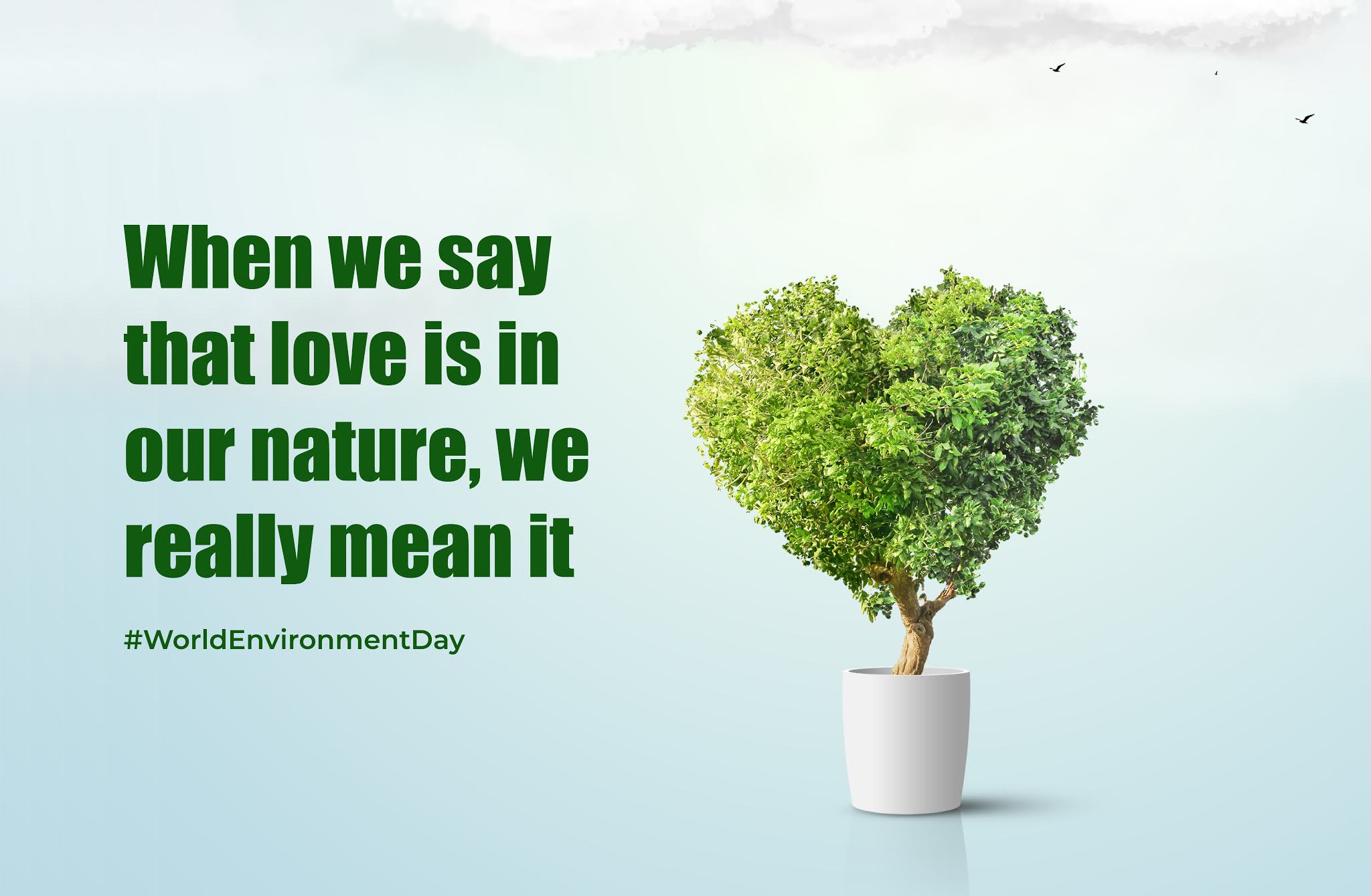 Blog- World enviornment day 2021