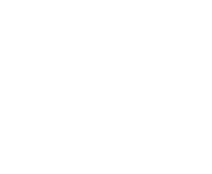 Portronics