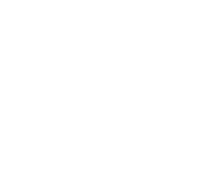 Brinc