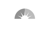 Aditya Birla Sunlife Insurance
