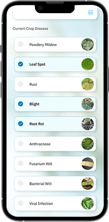 App Design